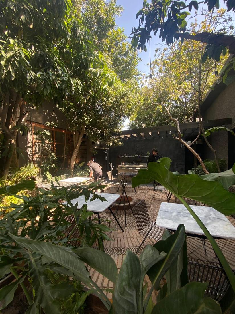 Macadamia Pizza Garden